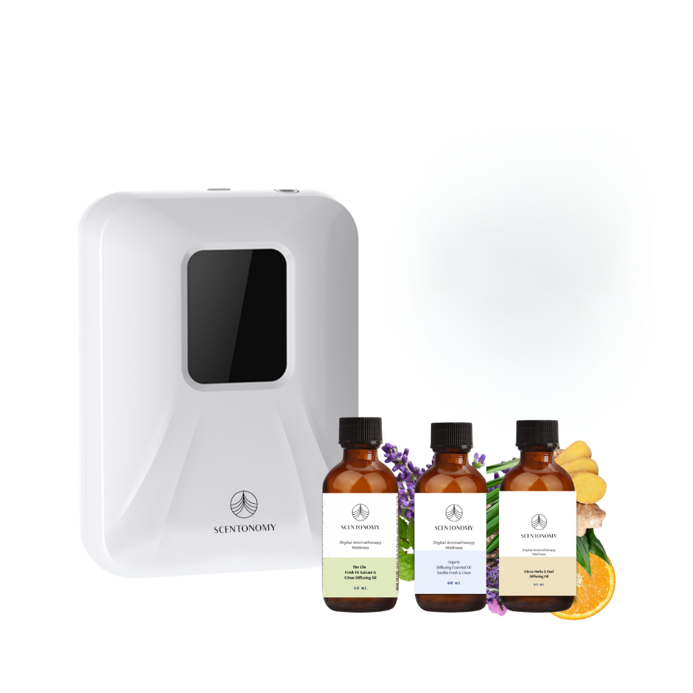 Scentonomy SDAX2M 3 Month Diffusing Bundle