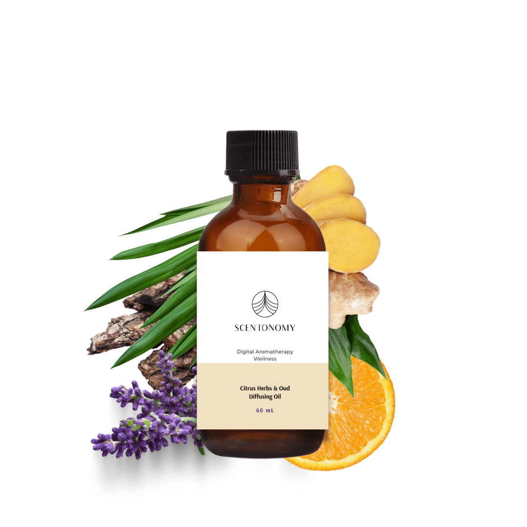 Citrus Herbs & Oud Diffusing Oil - Scentonomy