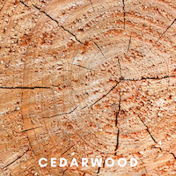 Scentonomy Stability Aromatherapy Blend | Wood & Spice