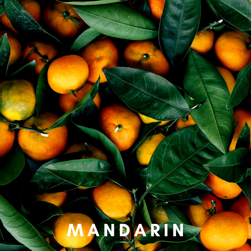 Scentonomy Digital Aromatherapy Wellness Tool - Mandarin