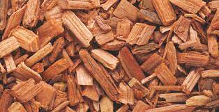 Anchoring Wisdom from the Trees: Cedarwood - Scentonomy