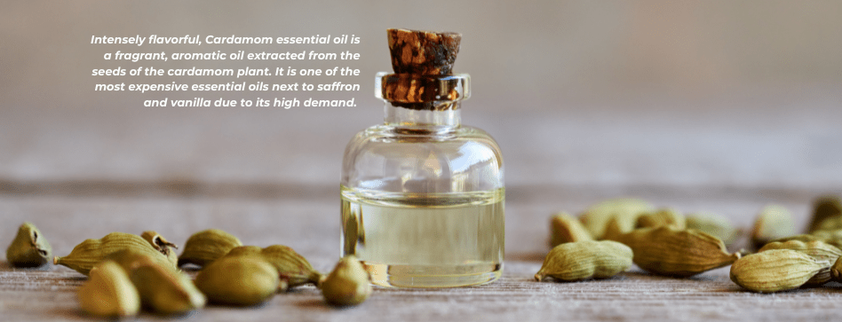 Brings us joy & wellness with Cardamom - Scentonomy