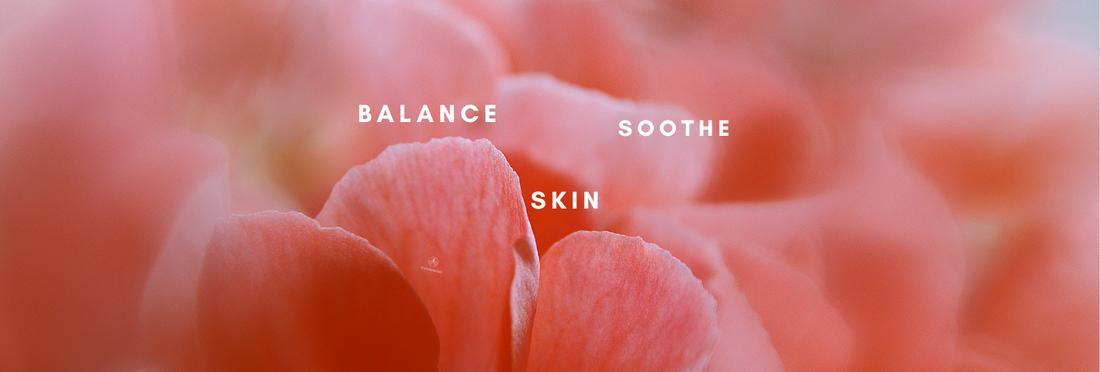 The beauty of Geranium...why we love it.