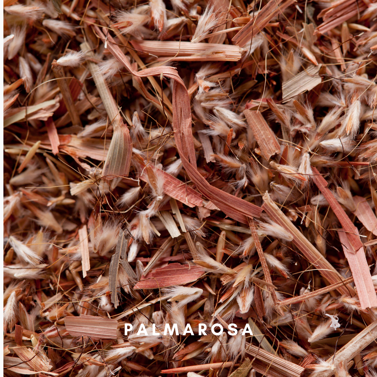 Scentonomy Soothe Wood & Earth Aromatherapy