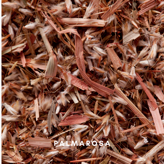 Scentonomy Soothe Wood & Earth Aromatherapy