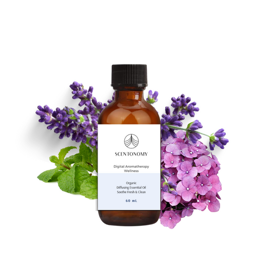 Soothe Fresh & Clean Diffusing Oil