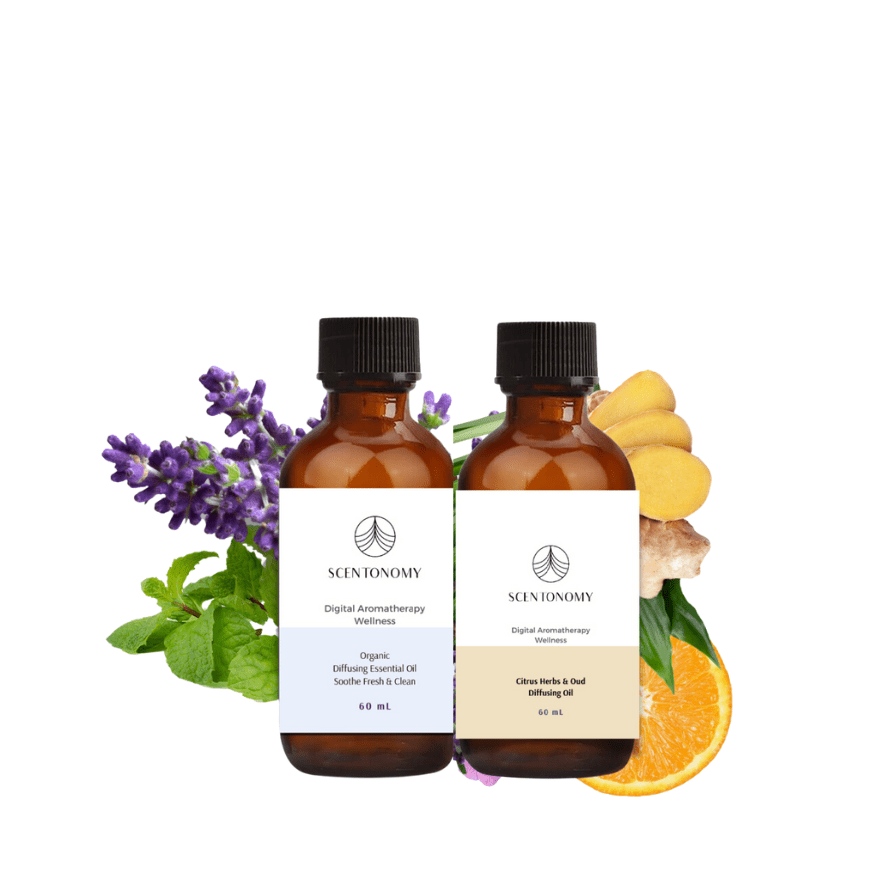 Organic Fresh Fir & Citrus Diffusing Oil - ScentonomyBody Oil