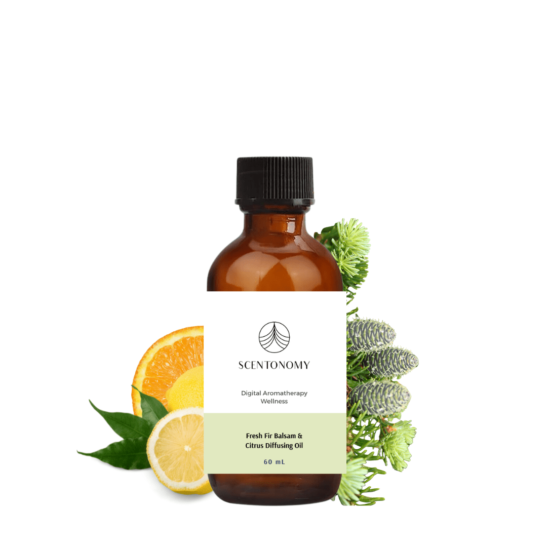Organic Fresh Fir & Citrus Diffusing Oil - ScentonomyBody Oil