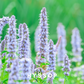Scentonomy Skin Aromatherapy Blend | Earth & Herb