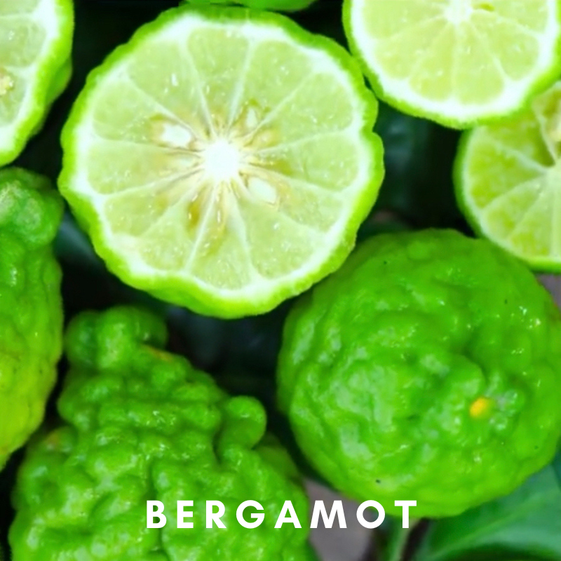 Scentonomy Digital Aromatherapy Wellness Tool - Bergamot