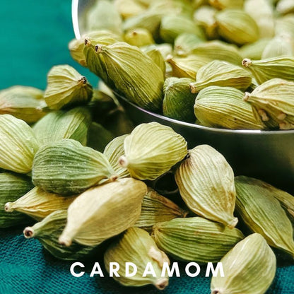 Scentonomy Digital Aromatherapy Wellness Tool - Cardamom
